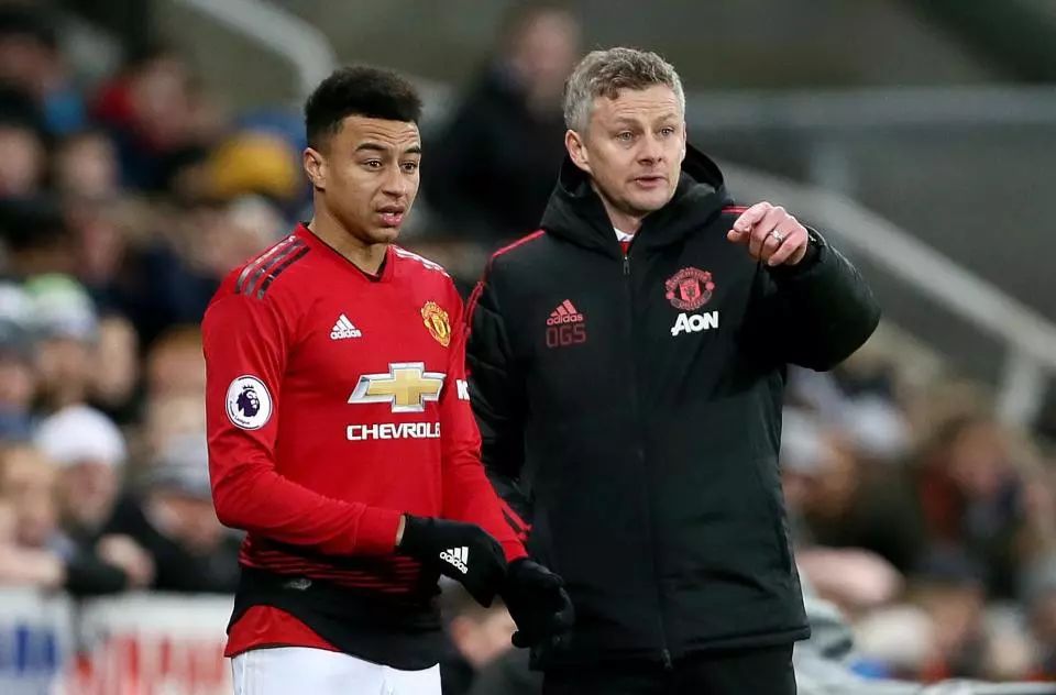 揭示了这一 揭示了这一